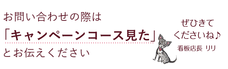 お問い合わせの際は「キャンペーンコース見た」とお伝えください